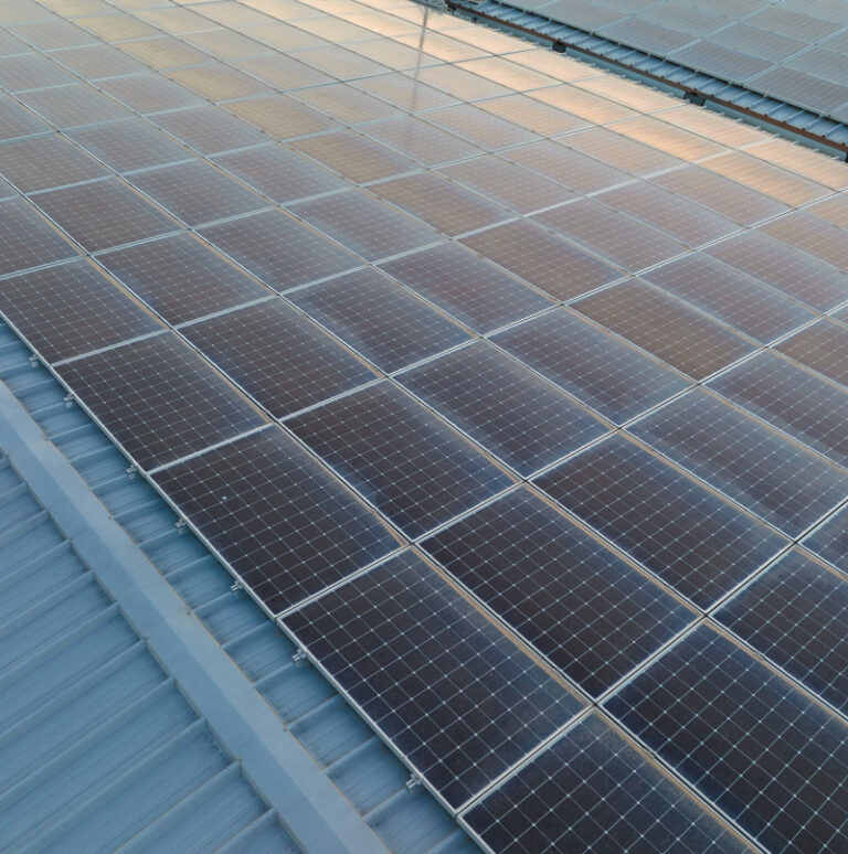 alquilar cubierta para placas solares